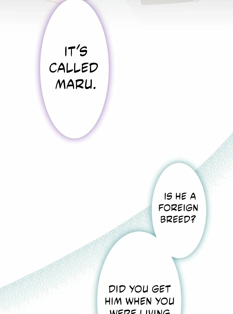 The White Wolf’s Bride Chapter 97 page 58 - 