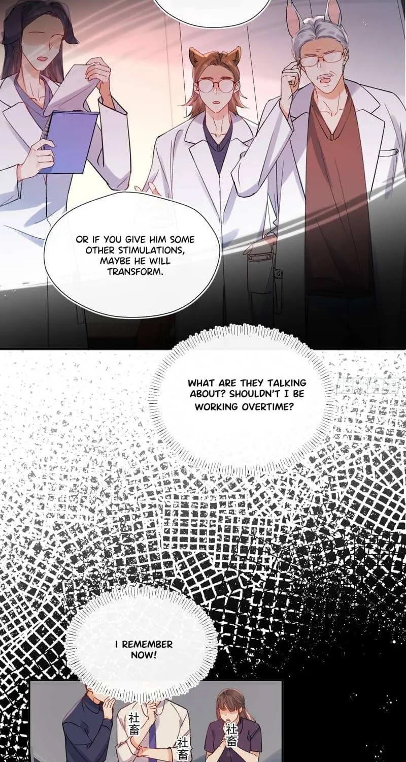 The Whole Universe Wants to Cuddle Me Chapter 1.1 page 19 - 