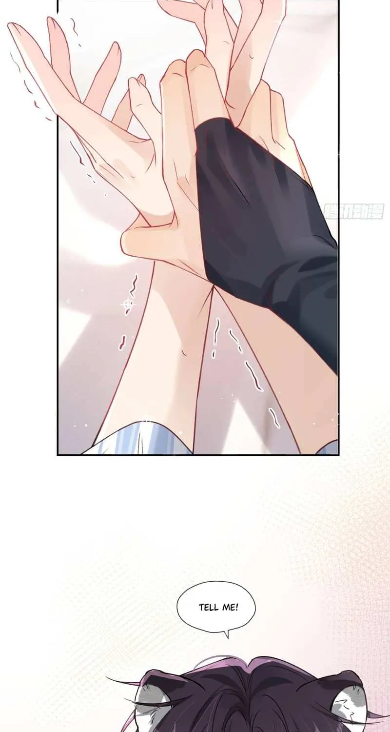 The Whole Universe Wants to Cuddle Me Chapter 1.2 page 3 - 