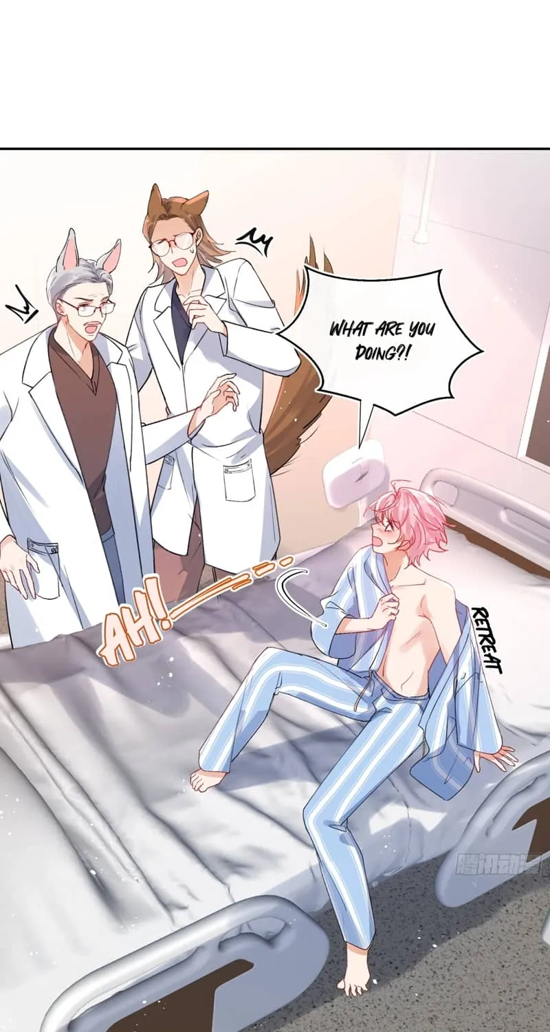 The Whole Universe Wants to Cuddle Me Chapter 1.2 page 25 - 