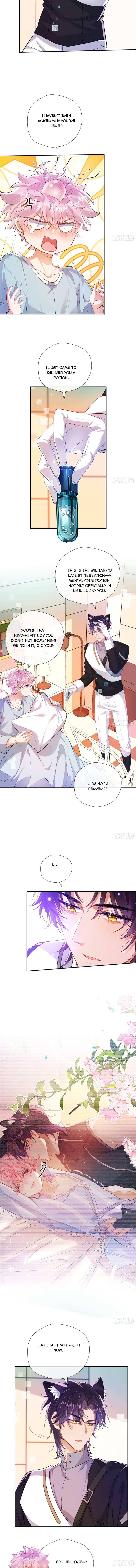 The Whole Universe Wants to Cuddle Me Chapter 15 page 3 - 