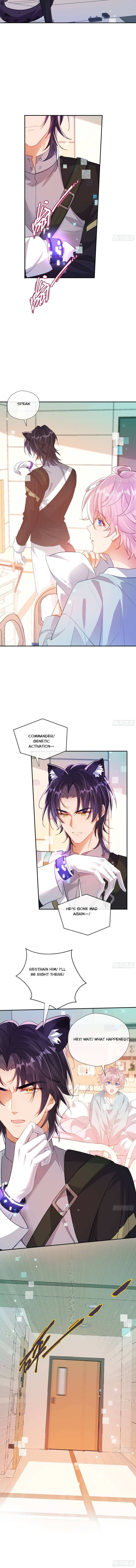 The Whole Universe Wants to Cuddle Me Chapter 15 page 5 - 