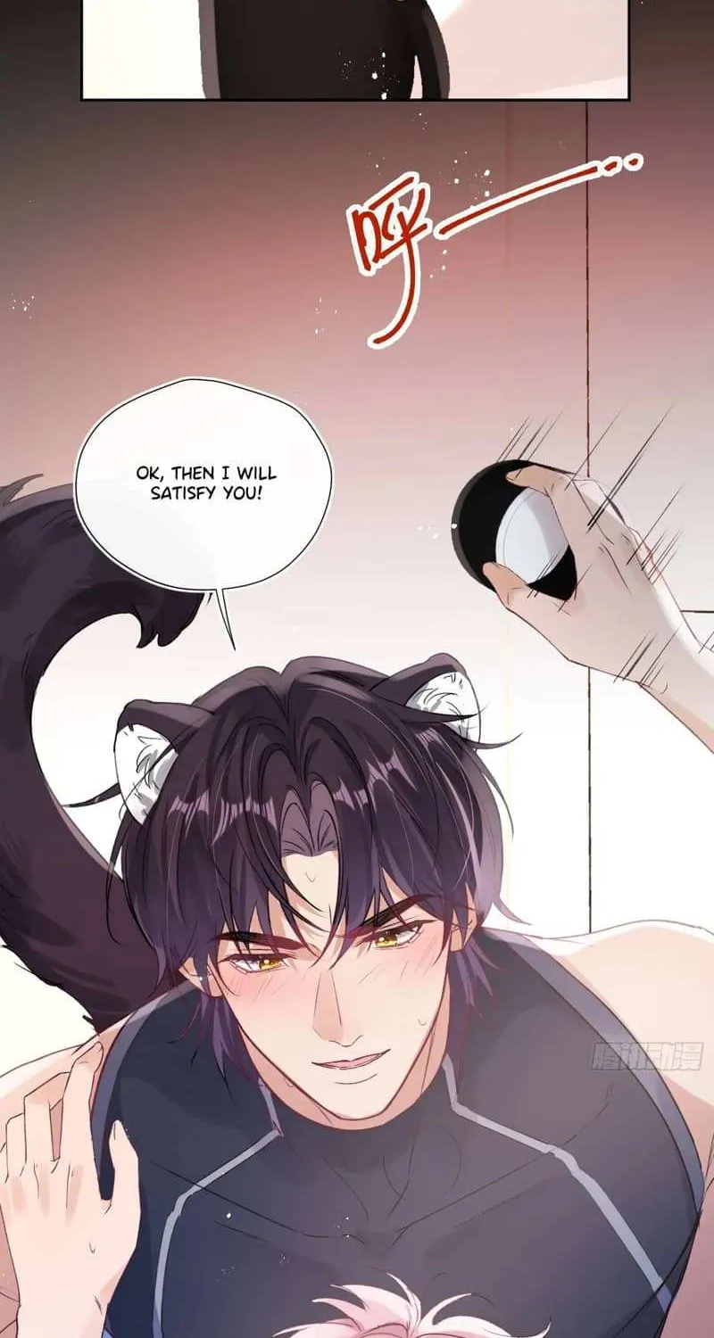 The Whole Universe Wants to Cuddle Me Chapter 2 page 11 - 