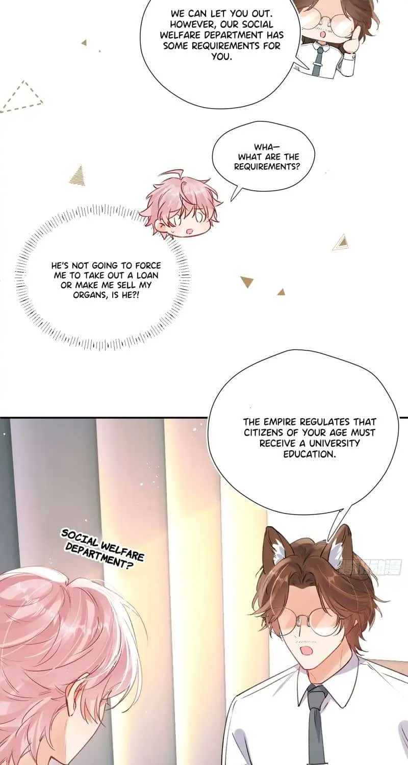 The Whole Universe Wants to Cuddle Me Chapter 2 page 26 - 