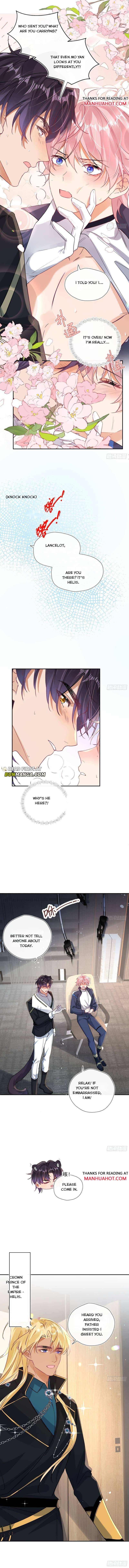 The Whole Universe Wants to Cuddle Me Chapter 4 page 11 - 