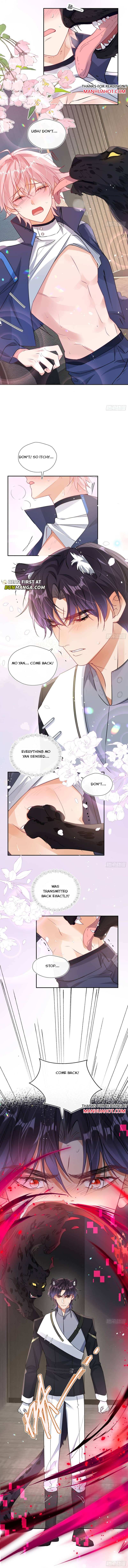 The Whole Universe Wants to Cuddle Me Chapter 4 page 10 - 