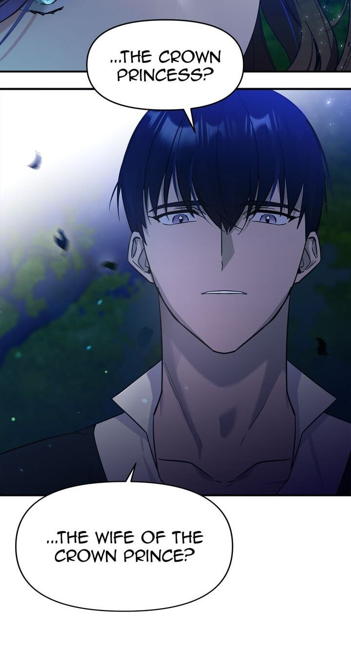 The Wild Flower of the Palace Chapter 10 page 13 - 