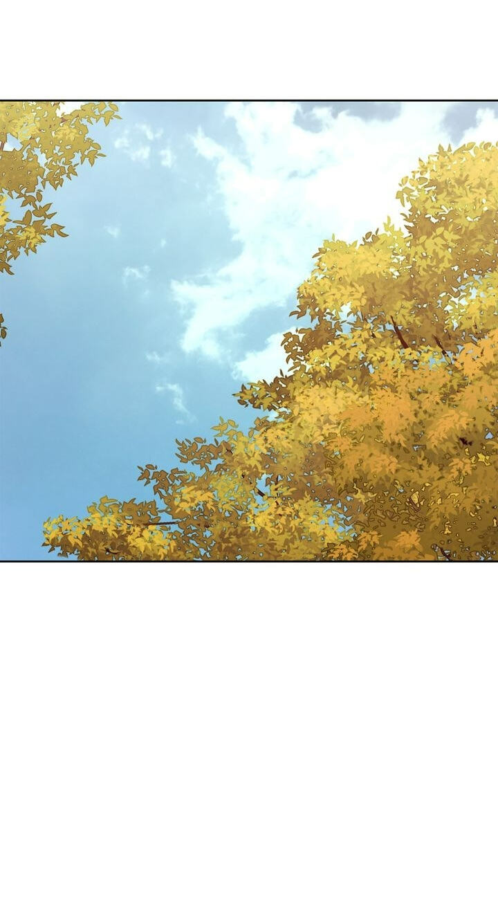 The Wild Flower of the Palace Chapter 14 page 39 - 