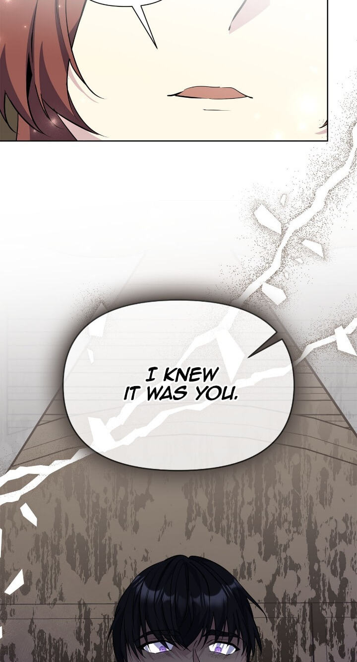 The Wild Flower of the Palace Chapter 43 page 15 - 
