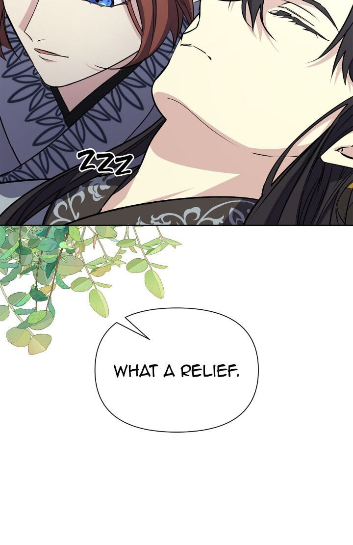 The Wild Flower of the Palace Chapter 43 page 97 - 