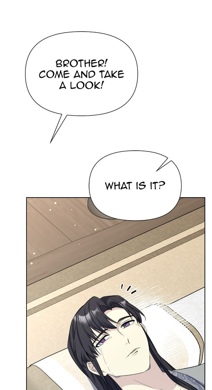 The Wild Flower of the Palace Chapter 46 page 135 - 