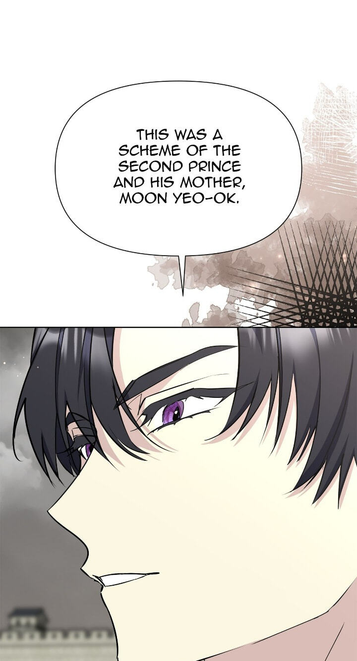The Wild Flower of the Palace Chapter 49 page 19 - 
