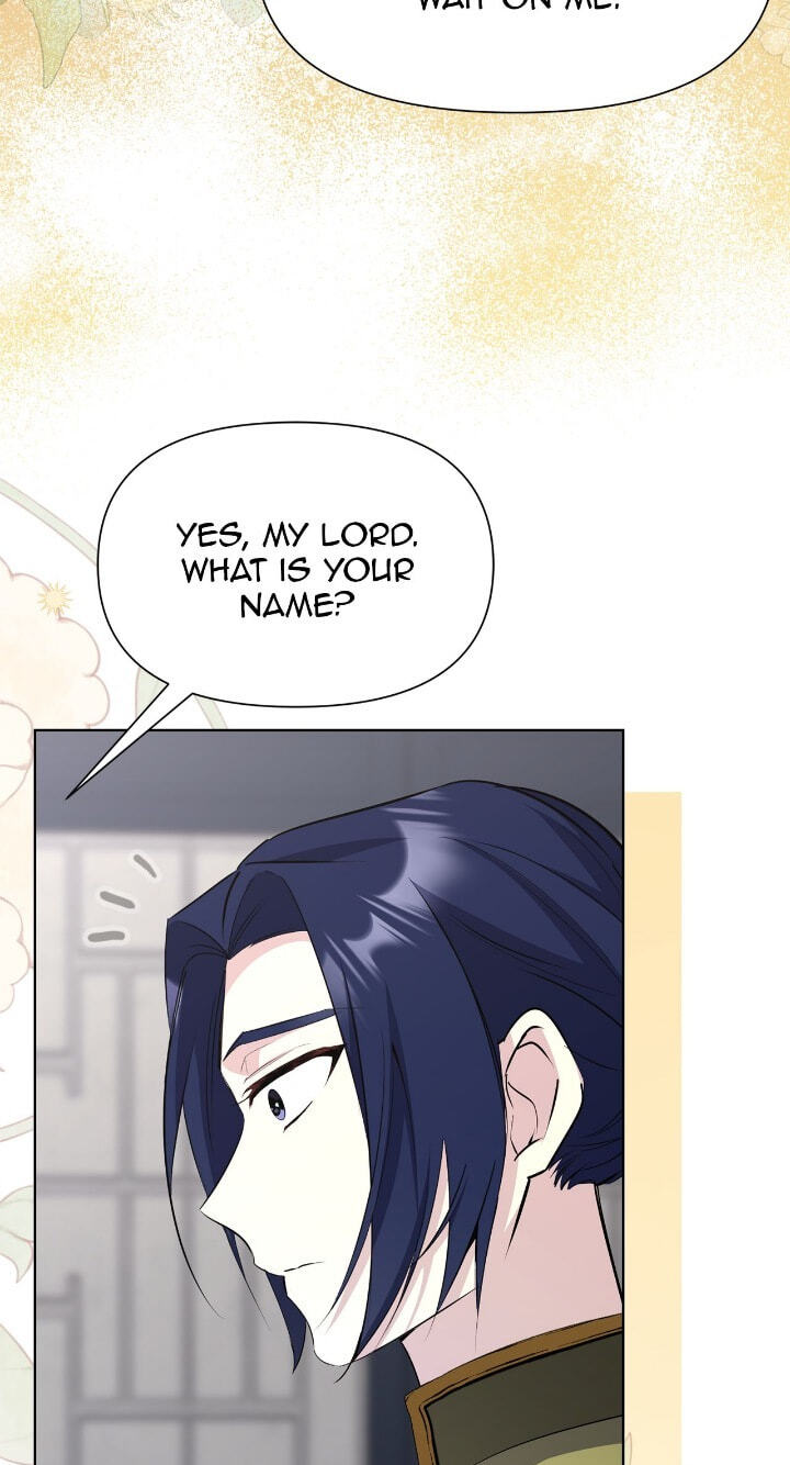 The Wild Flower of the Palace Chapter 51 page 112 - 