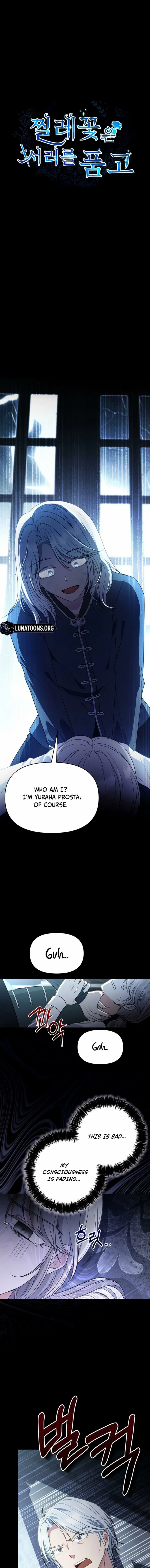 The Wild Rose Embraces the Frost Chapter 22 page 1 - 