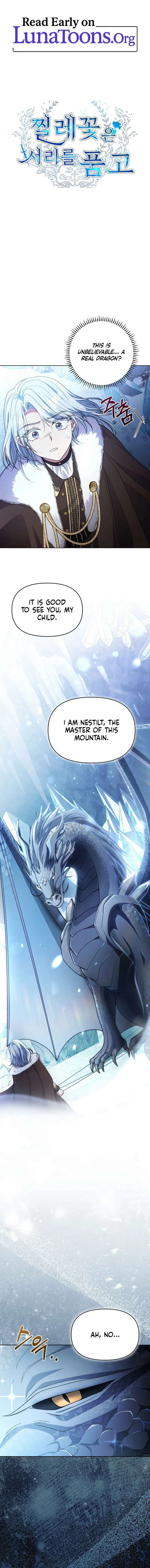 The Wild Rose Embraces the Frost Chapter 23 page 1 - 