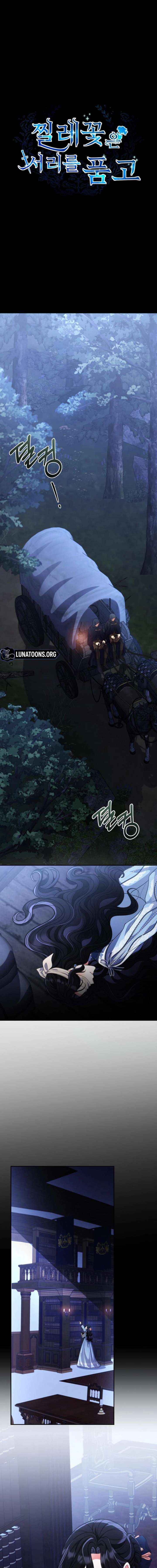The Wild Rose Embraces the Frost Chapter 33 page 1 - 