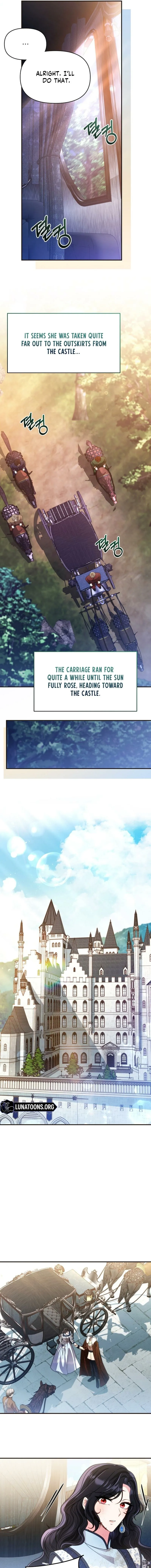 The Wild Rose Embraces the Frost Chapter 36 page 11 - 