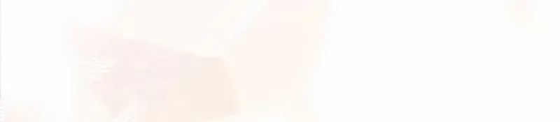 The Wild Rose Embraces the Frost Chapter 5 page 81 - 
