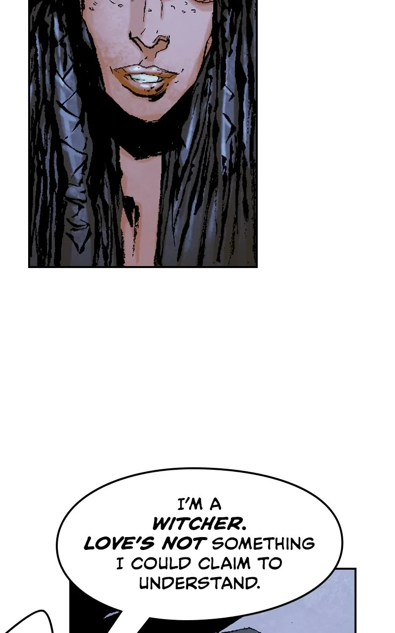The Witcher Chapter 7 page 41 - 