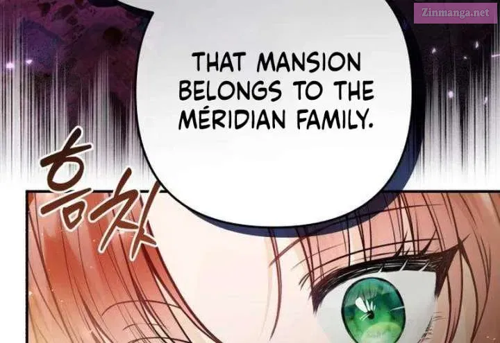 The Witch’s Tears Become Poison Chapter 9 page 47 - 