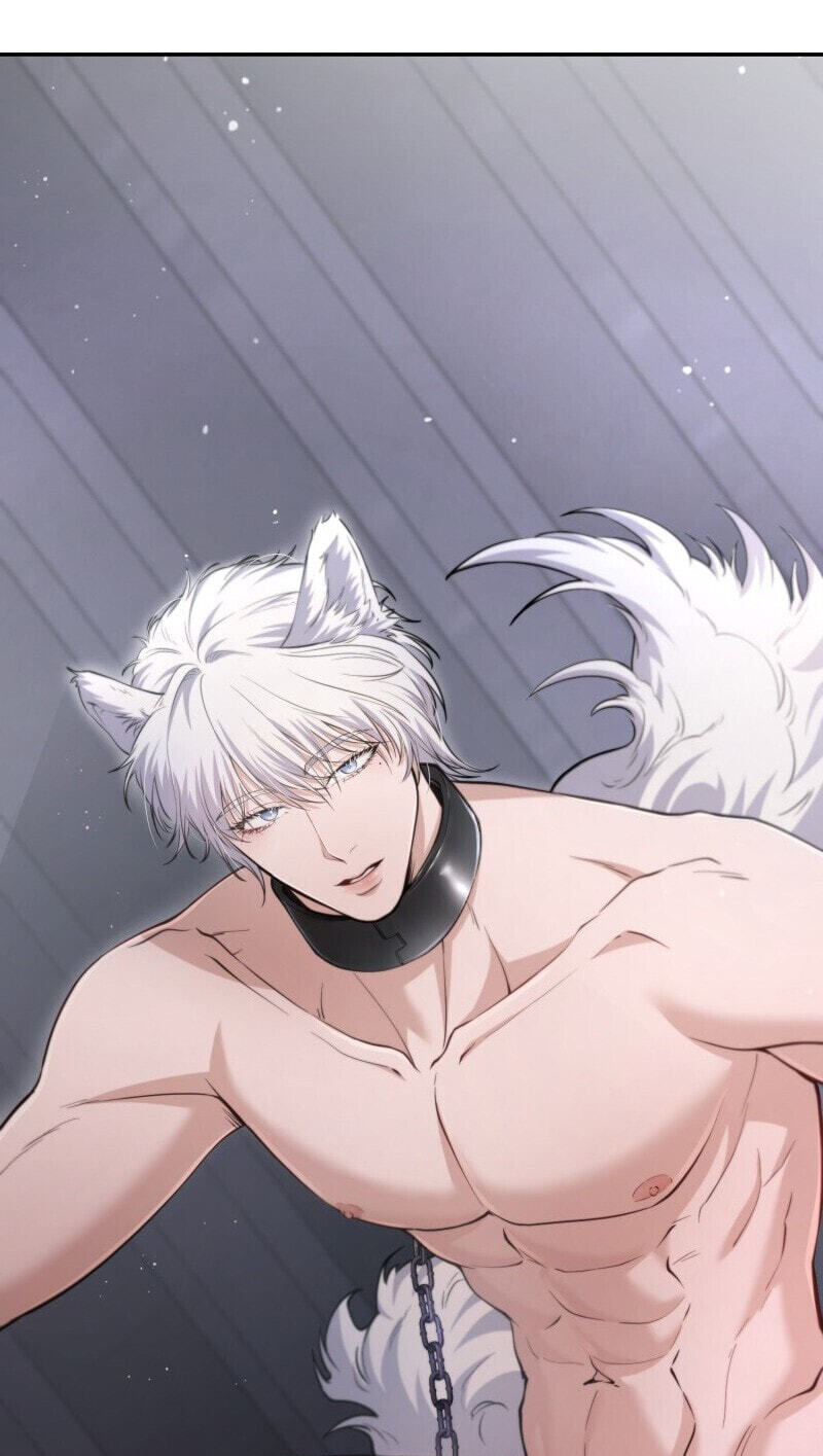 The Wolf and the Delinquent Chapter 1 page 105 - 