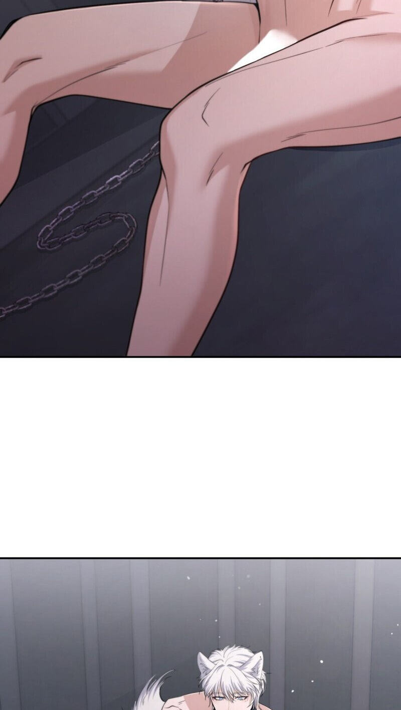 The Wolf and the Delinquent Chapter 1 page 106 - 