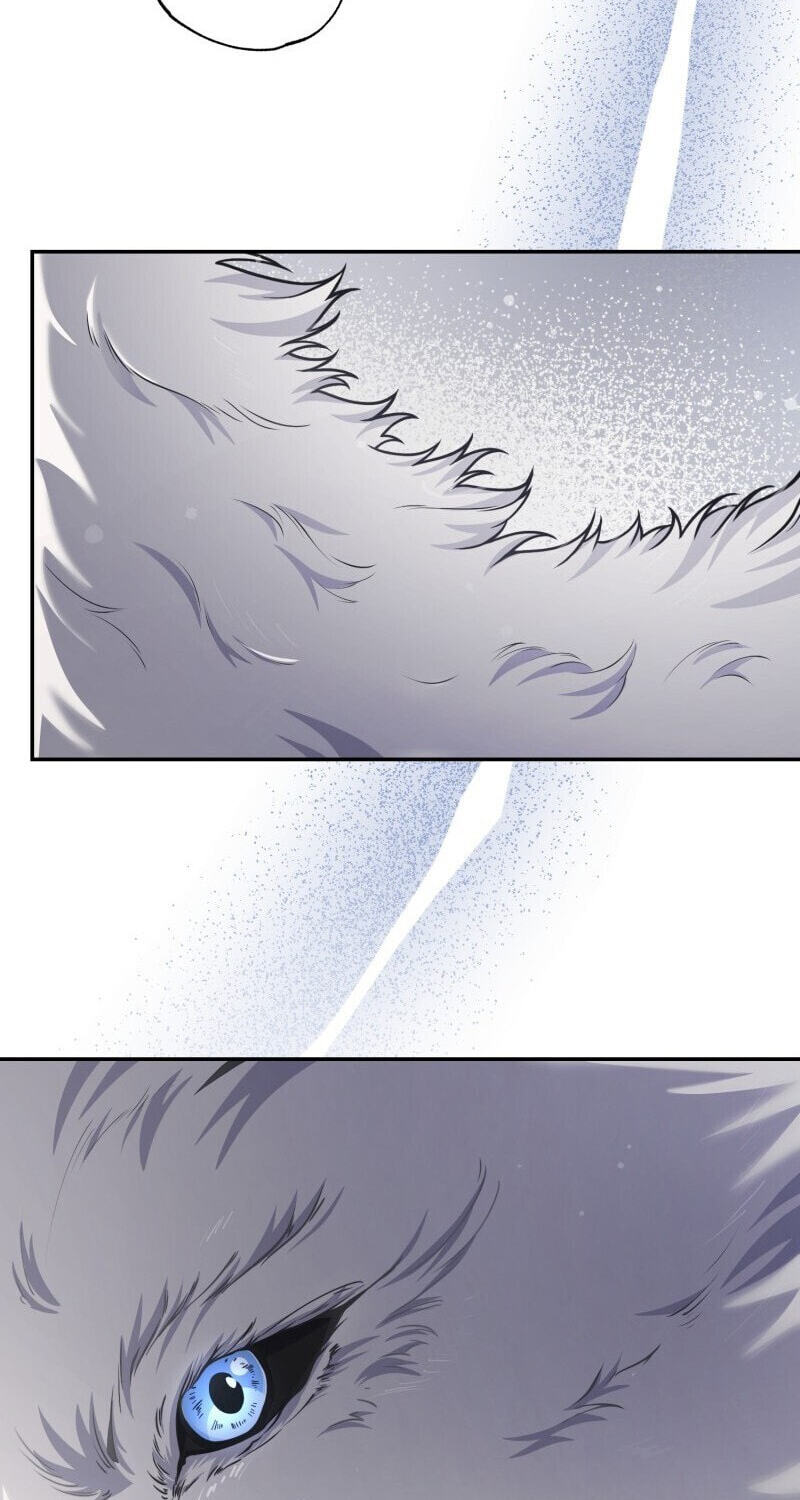 The Wolf and the Delinquent Chapter 1 page 96 - 