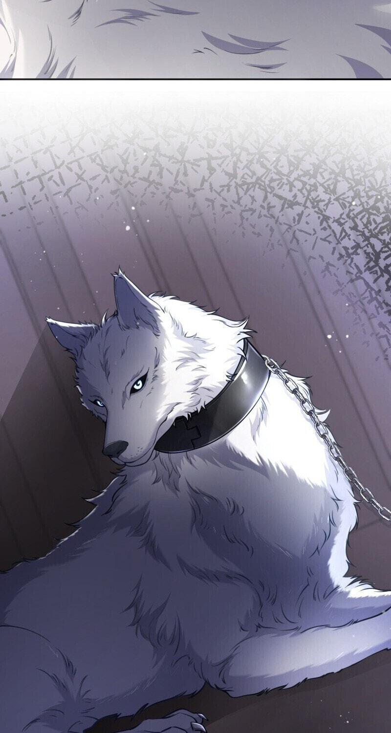 The Wolf and the Delinquent Chapter 1 page 97 - 