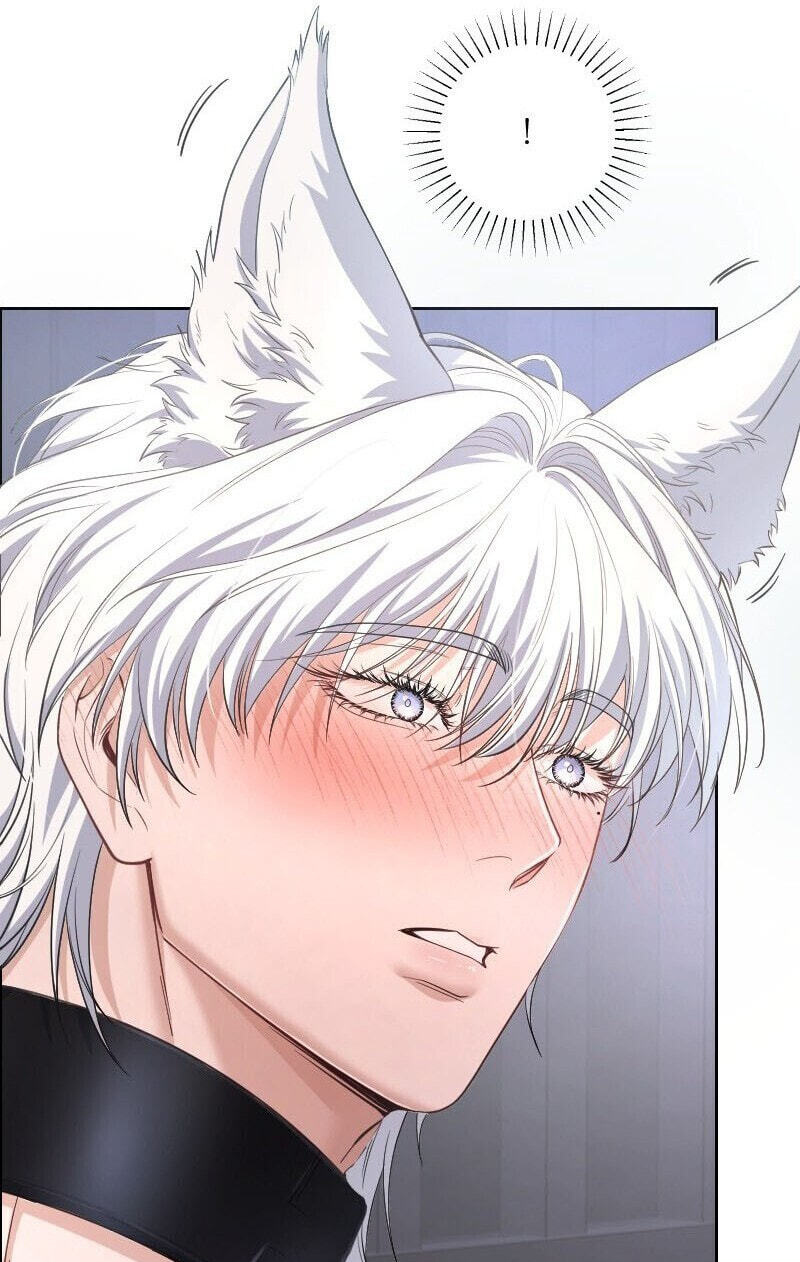 The Wolf and the Delinquent Chapter 2 page 108 - 