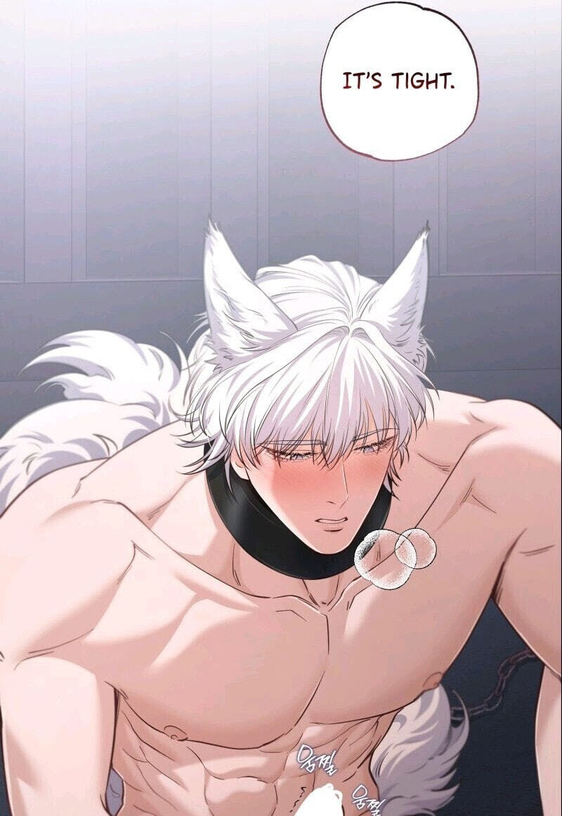 The Wolf and the Delinquent Chapter 2 page 97 - 