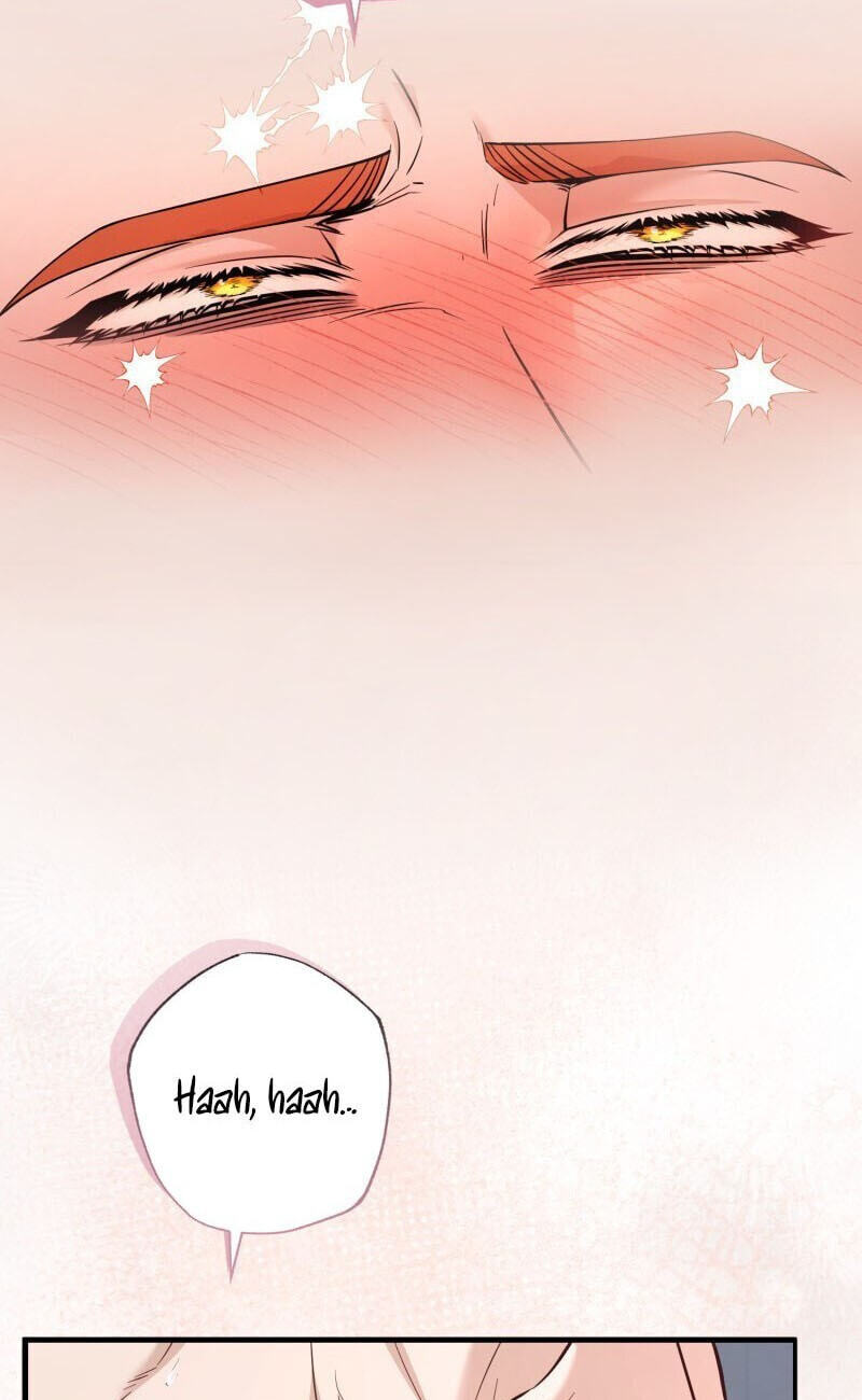 The Wolf and the Delinquent Chapter 4 page 52 - 