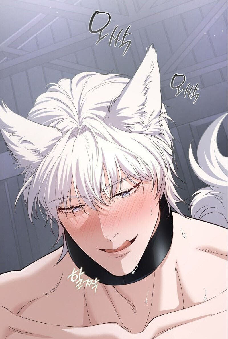 The Wolf and the Delinquent Chapter 4 page 63 - 