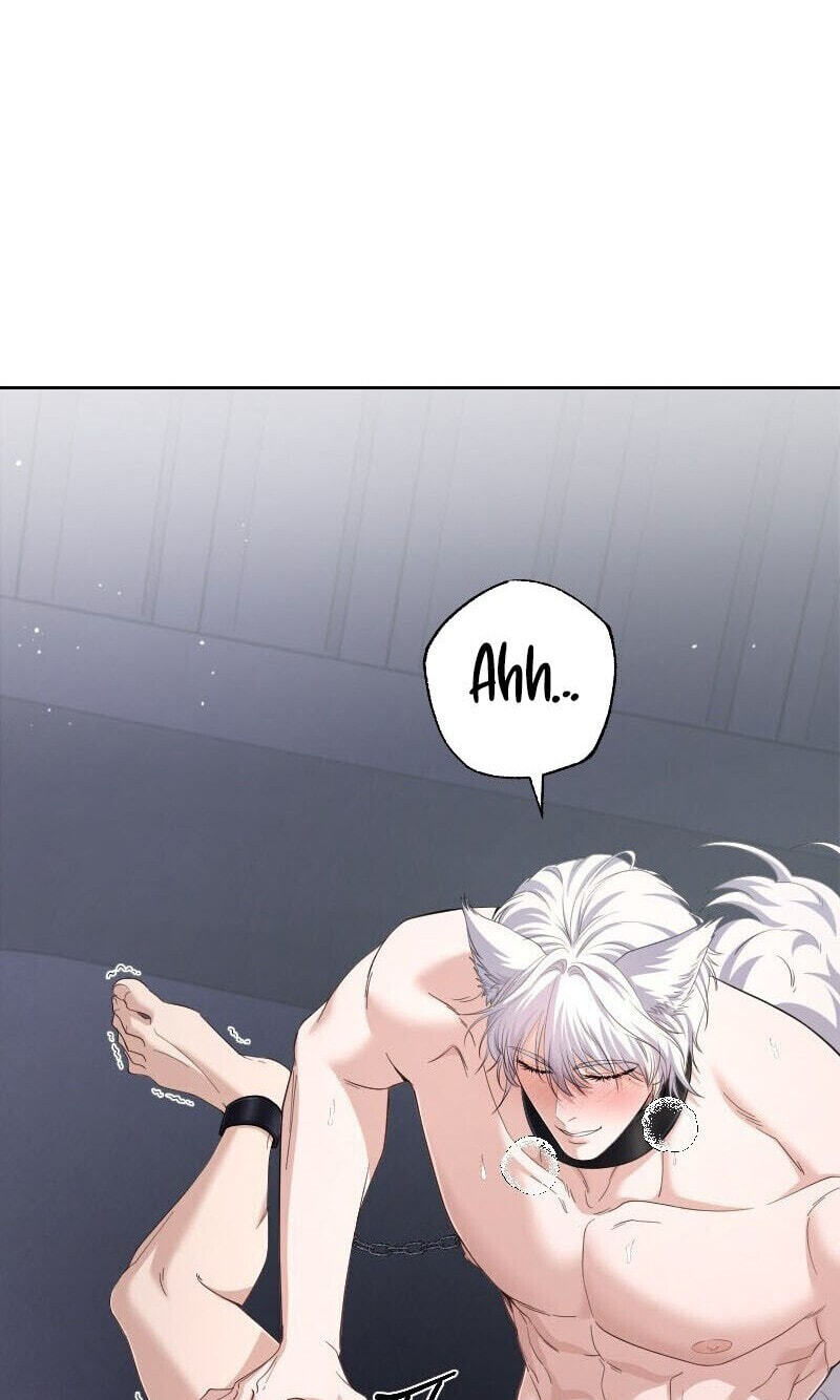 The Wolf and the Delinquent Chapter 4 page 71 - 