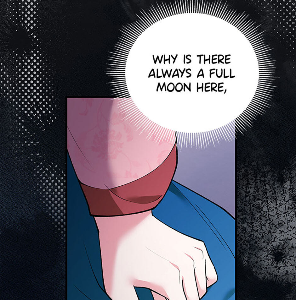 The Wolf of the Full Moon Chapter 4 page 25 - 