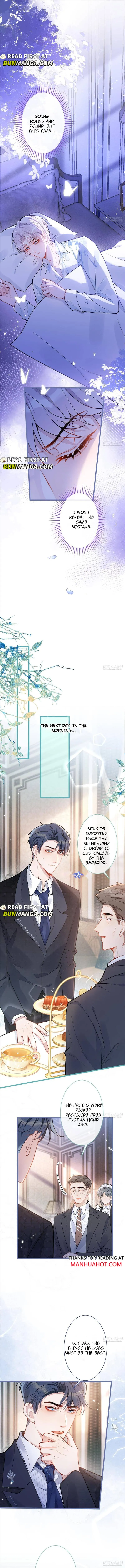 The Wolf’s Reward Chapter 12 page 3 - 