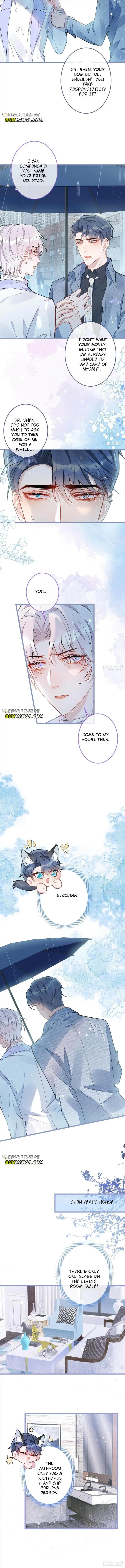 The Wolf’s Reward Chapter 5 page 6 - 