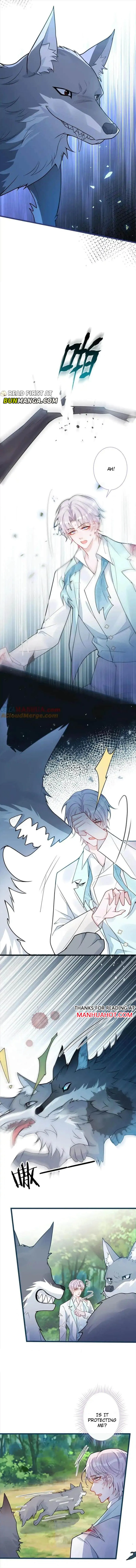 The Wolf’s Reward Chapter 56 page 3 - 