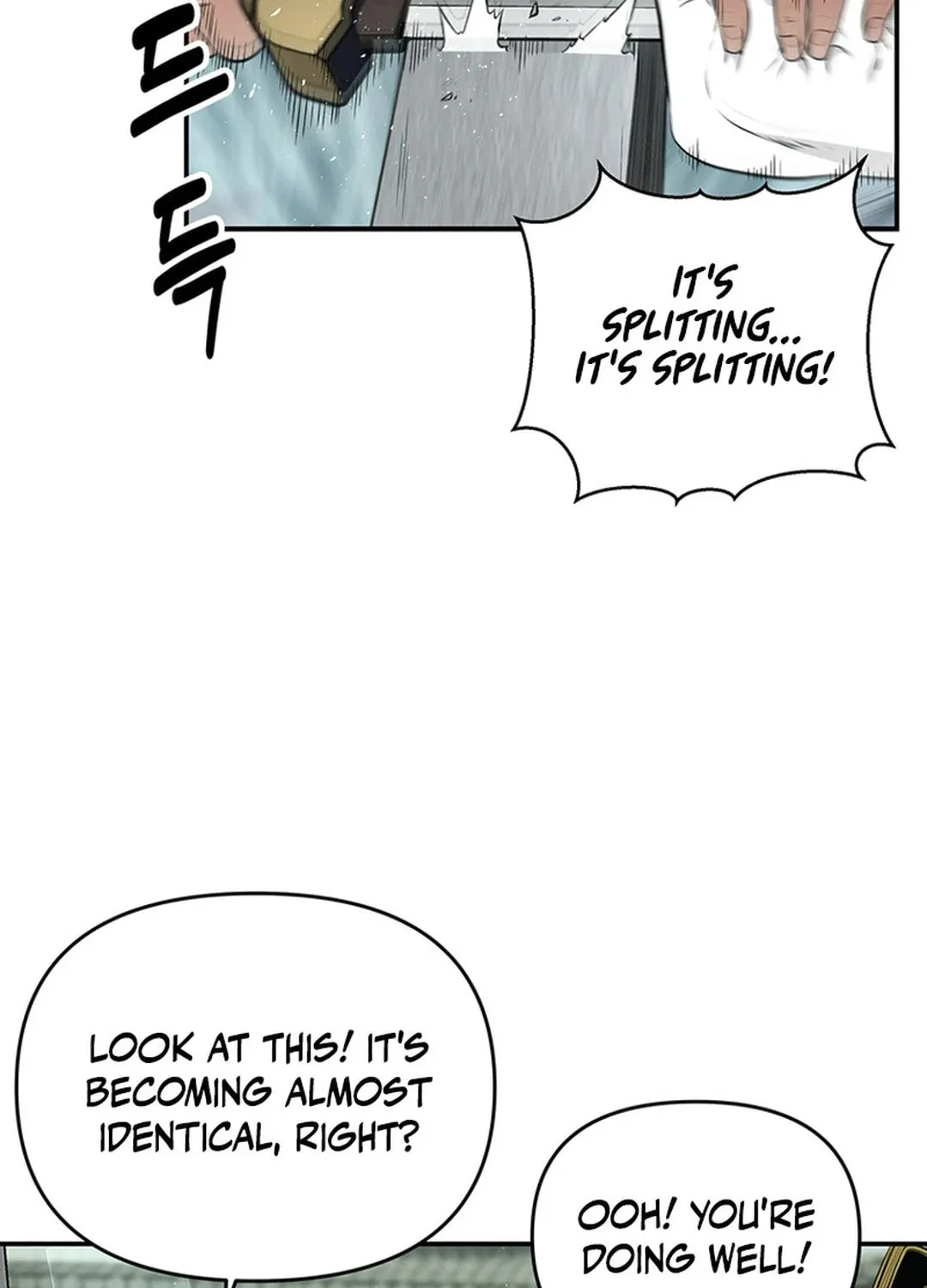 The World