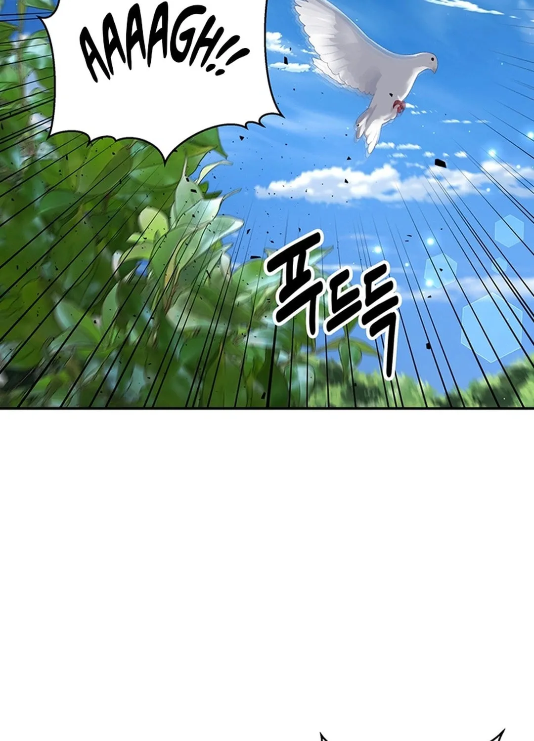 The World