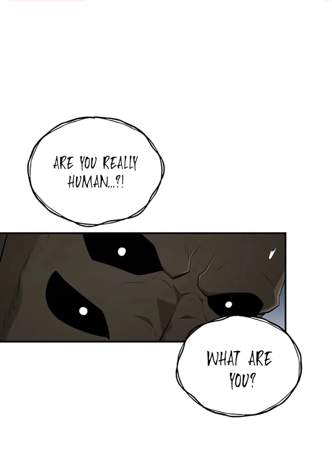 The World