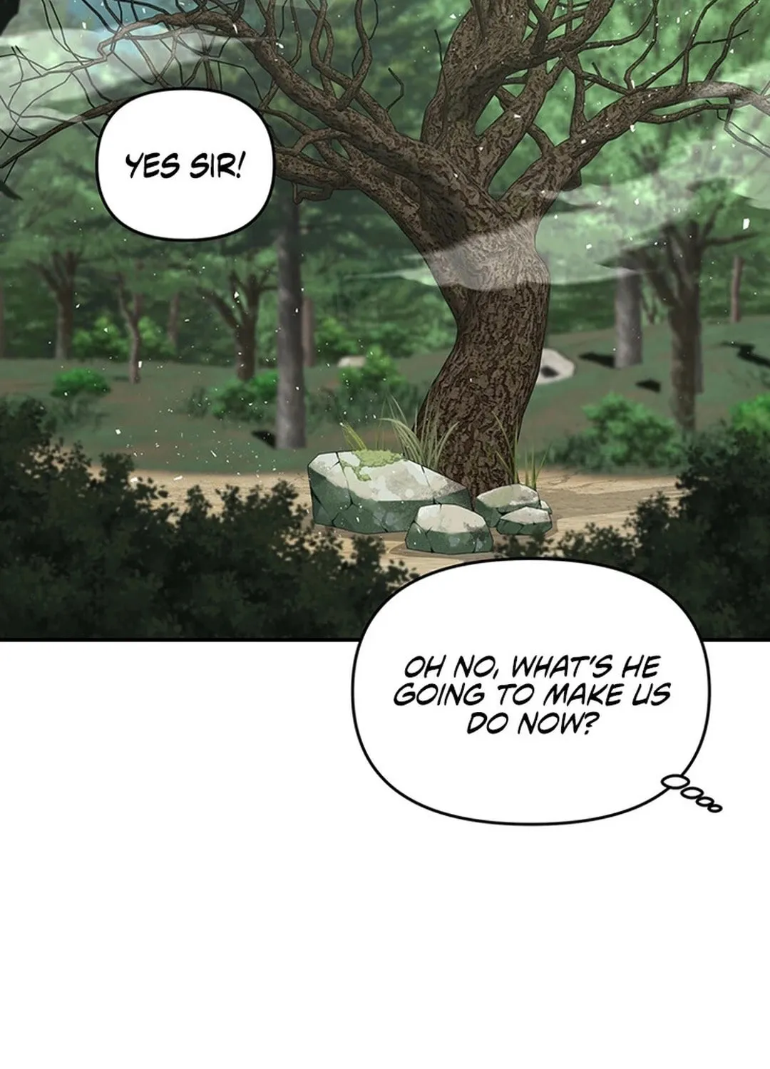The World