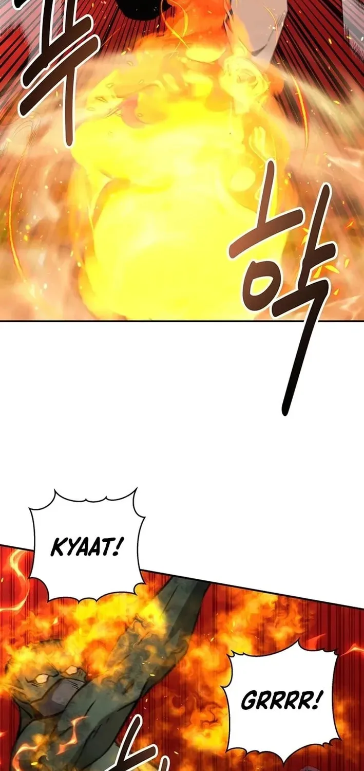 The World
