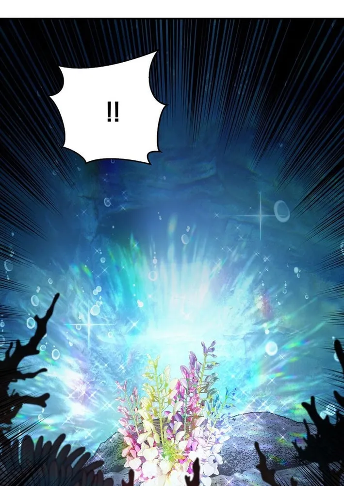 The World