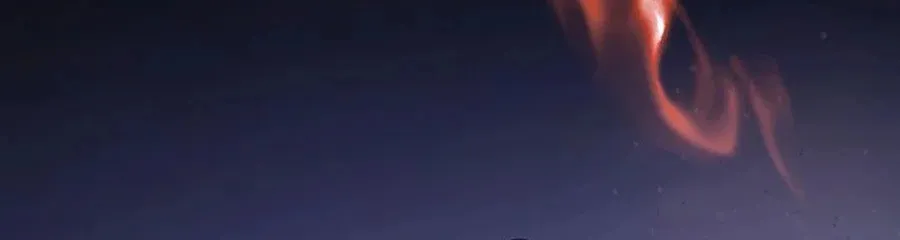 The World