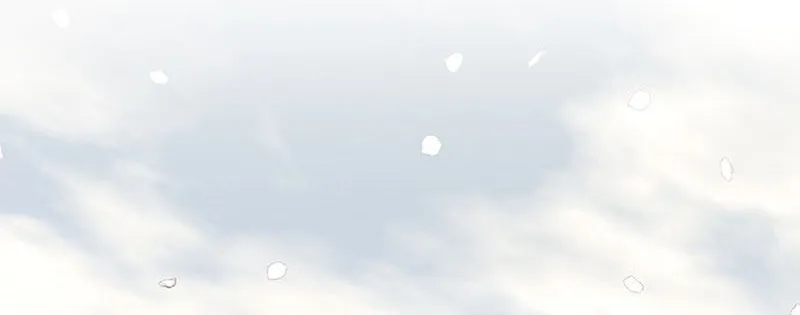 The World