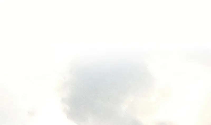 The World