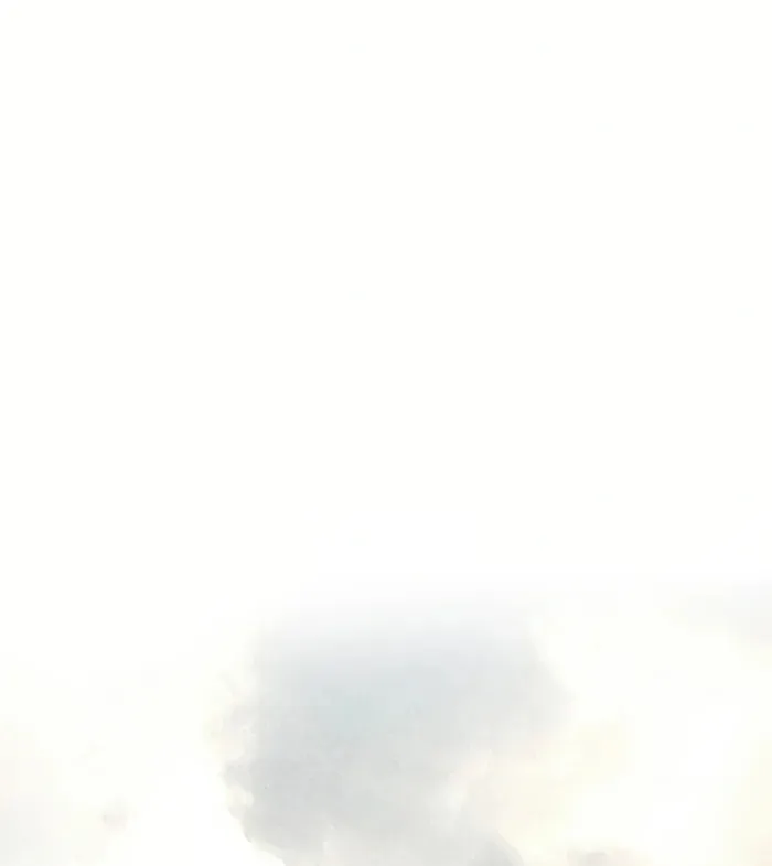 The World