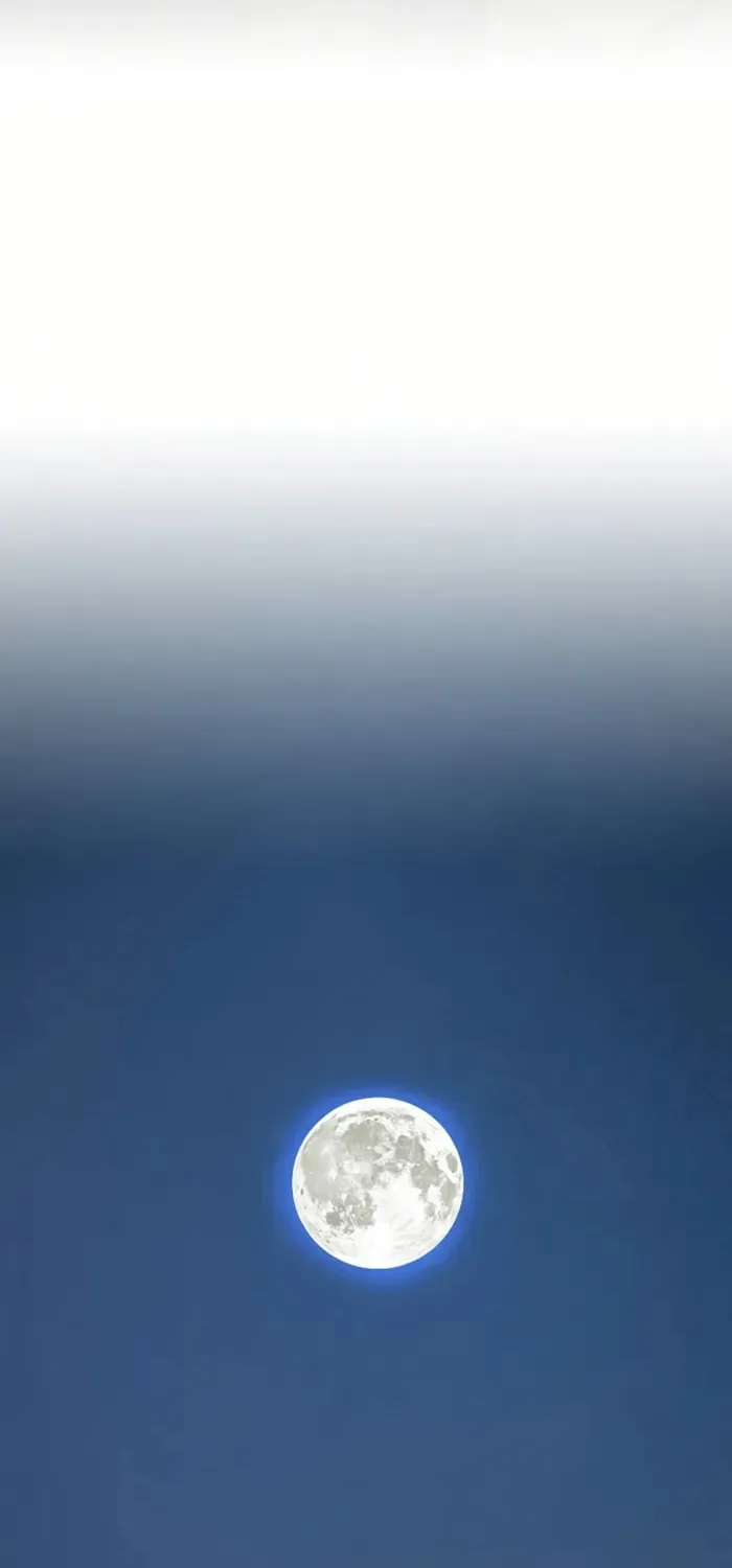 The World