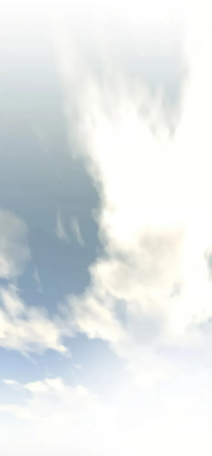 The World
