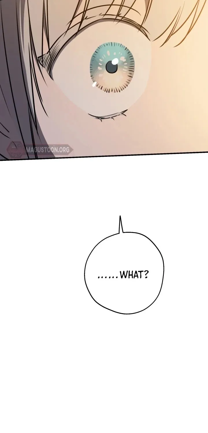 The World